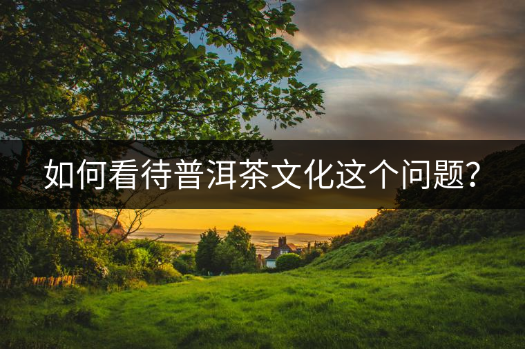如何看待普洱茶文化這個問題? 如何看待普洱茶文化這個問題?