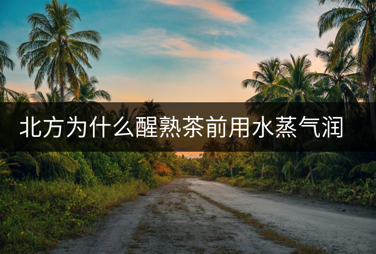 北方為什么醒熟茶前用水蒸氣潤一下？有何用處？