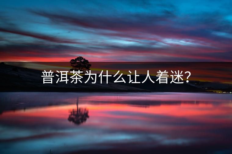 普洱茶為什么讓人著迷？