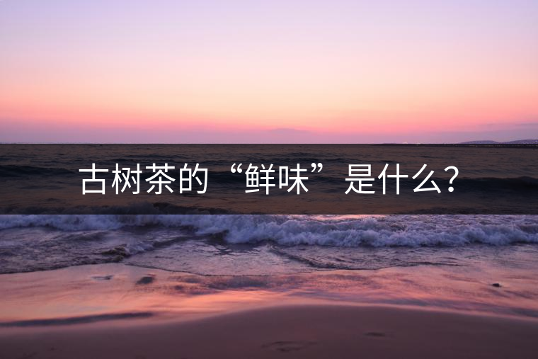 古樹茶的“鮮味”是什么？