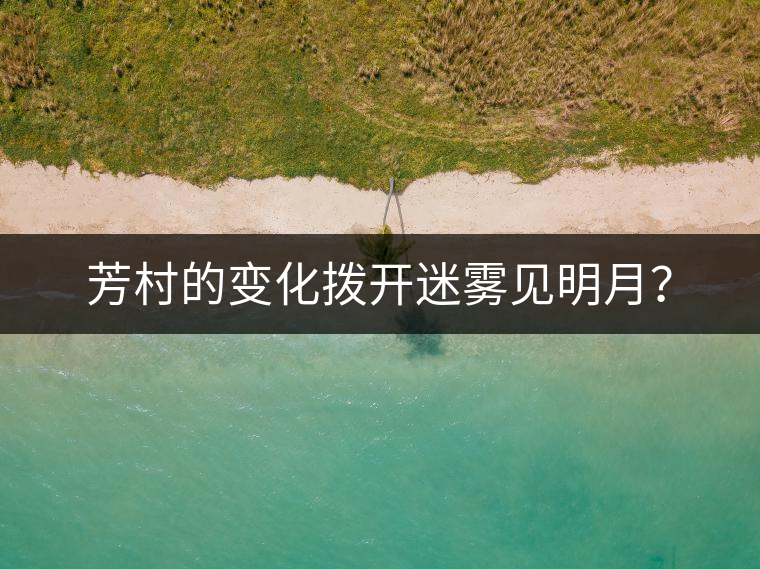 芳村的變化撥開(kāi)迷霧見(jiàn)明月？