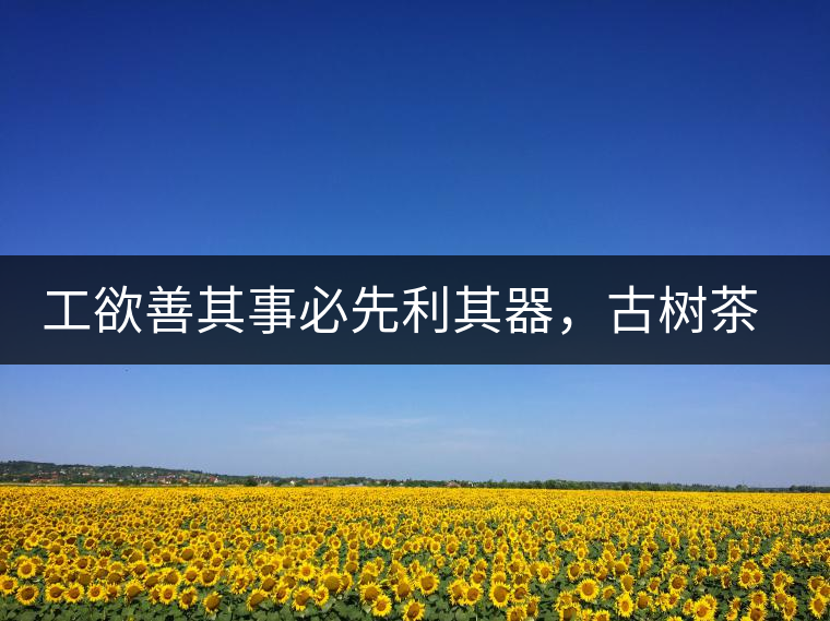 工欲善其事必先利其器，古樹茶用什么茶器最好？