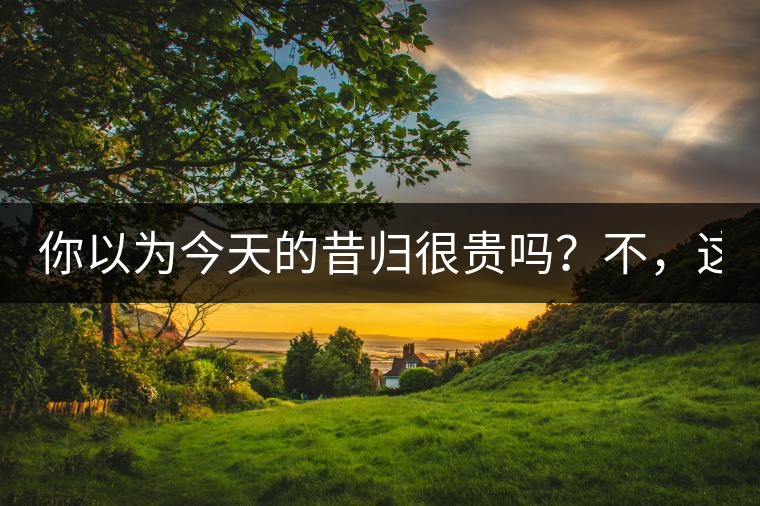 你以為今天的昔歸很貴嗎？不，這只是開始！