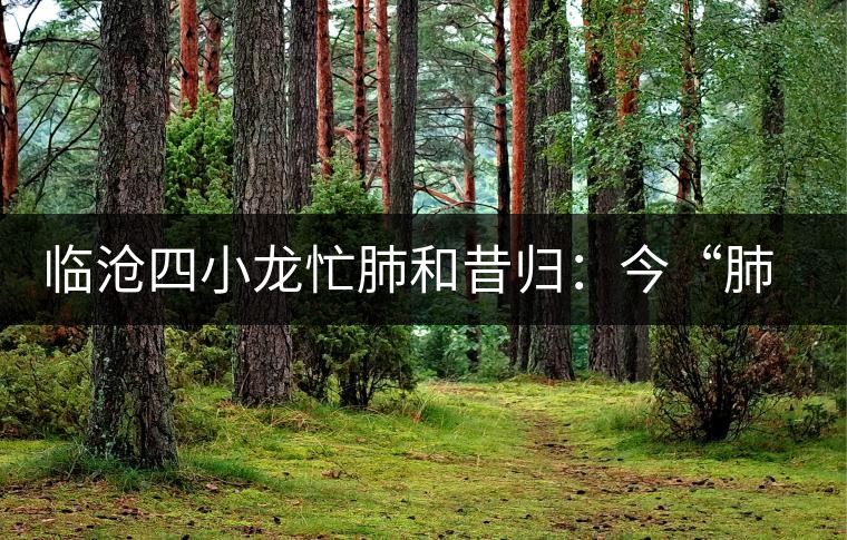 臨滄四小龍忙肺和昔歸：今“肺”“昔”比