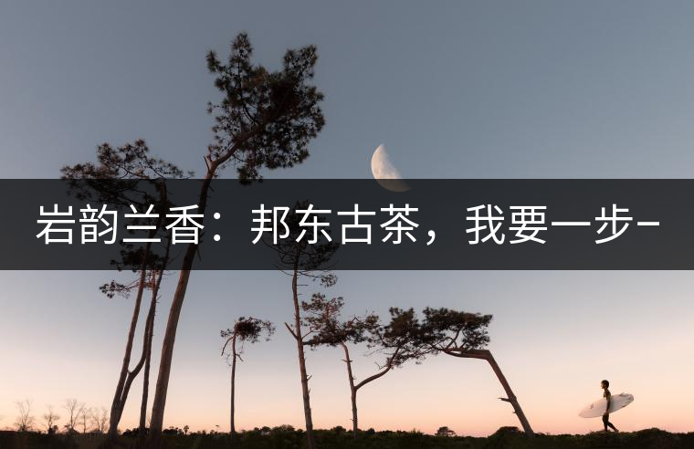 巖韻蘭香：邦東古茶，我要一步一步往上爬！