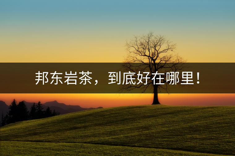 邦東巖茶，到底好在哪里！