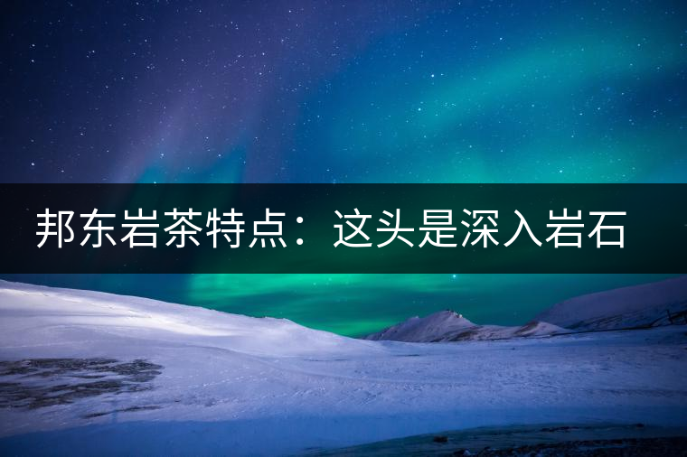 邦東巖茶特點：這頭是深入巖石的根，那頭是臨風飄香的古韻