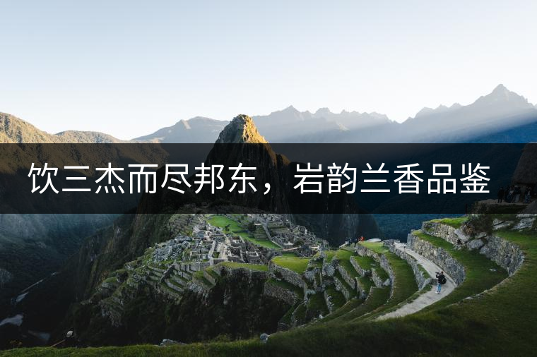 飲三杰而盡邦東，巖韻蘭香品鑒：生于山石上，韻味正當(dāng)