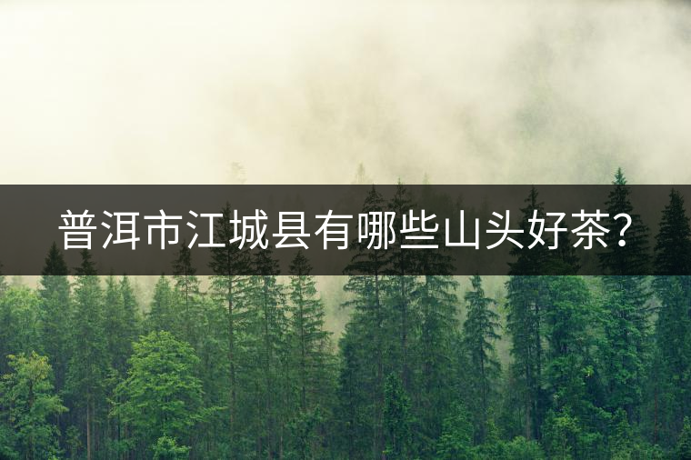 普洱市江城縣有哪些山頭好茶？