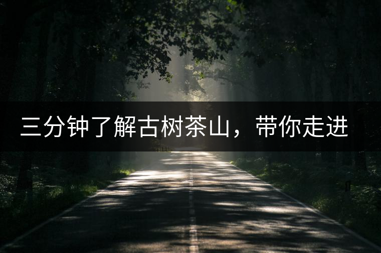 三分鐘了解古樹茶山，帶你走進(jìn)西蒙佛殿山