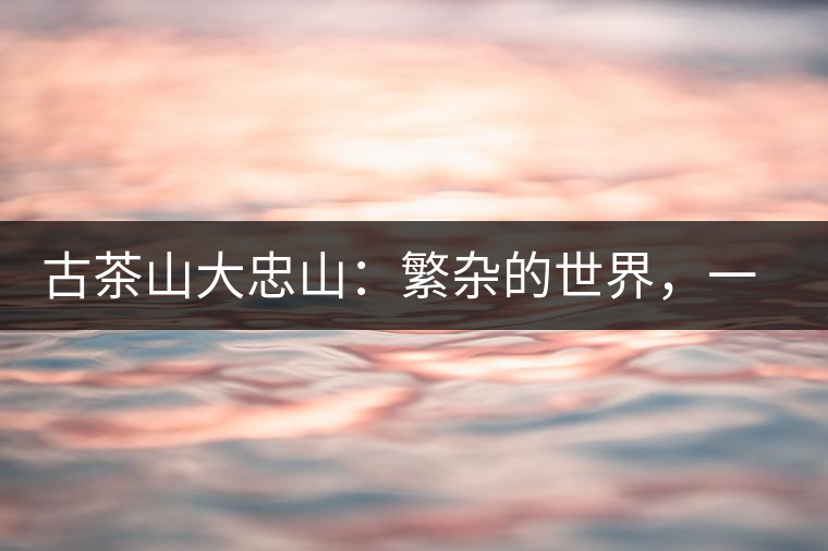 古茶山大忠山：繁雜的世界，一杯就夠了