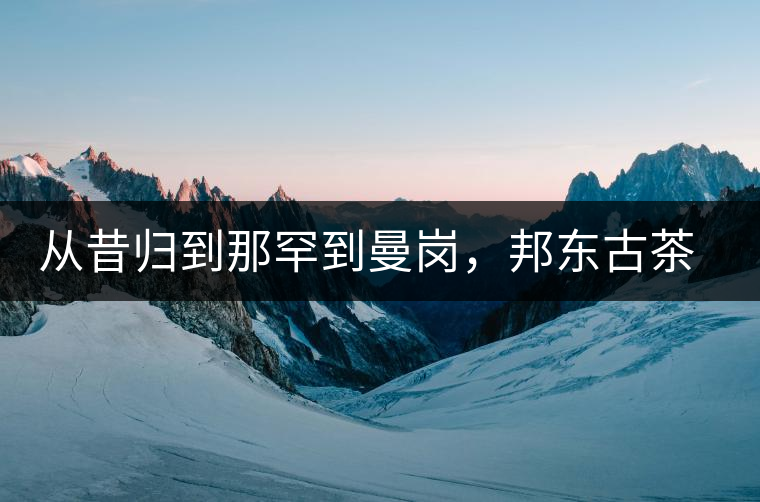 從昔歸到那罕到曼崗，邦東古茶藏著一條規(guī)律！