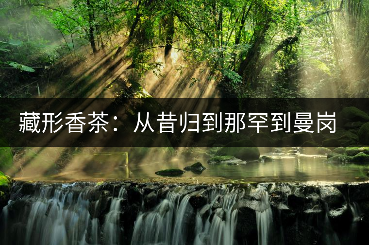 藏形香茶：從昔歸到那罕到曼崗，邦東古茶藏著一條規(guī)律！