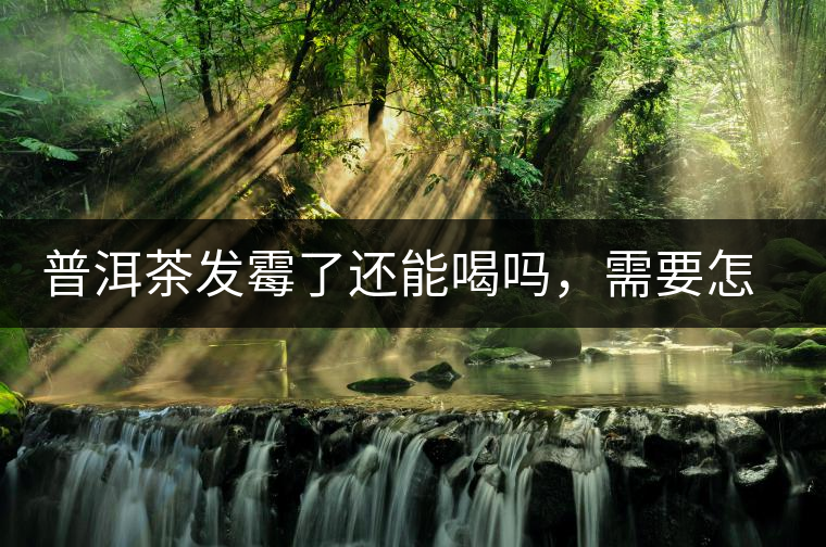 普洱茶發(fā)霉了還能喝嗎，需要怎么處理？