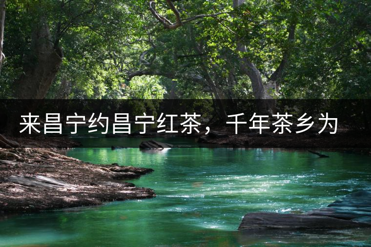 來(lái)昌寧約昌寧紅茶，千年茶鄉(xiāng)為您開(kāi)啟生態(tài)之旅