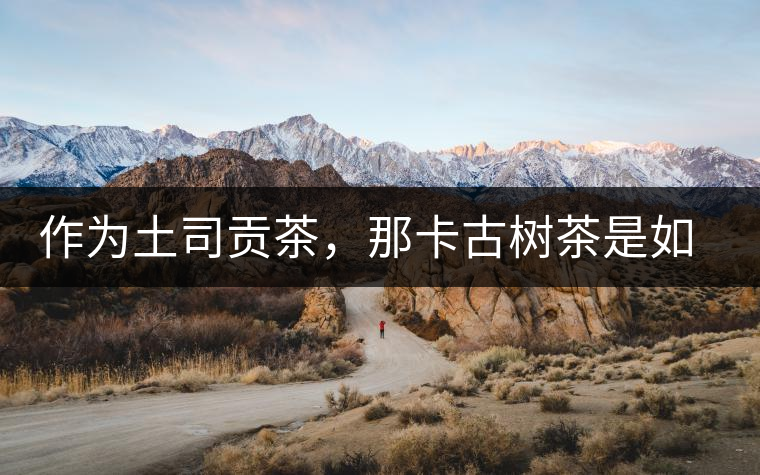 作為土司貢茶，那卡古樹茶是如何在眾多茶中脫穎而出的