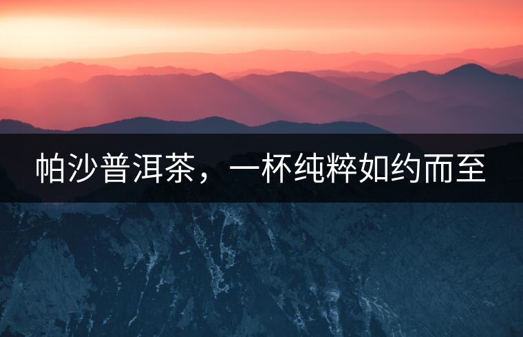 帕沙普洱茶，一杯純粹如約而至