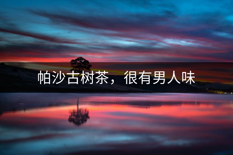 帕沙古樹茶，很有男人味