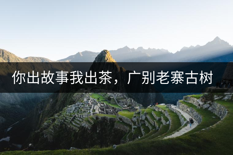 你出故事我出茶，廣別老寨古樹(shù)妖茶