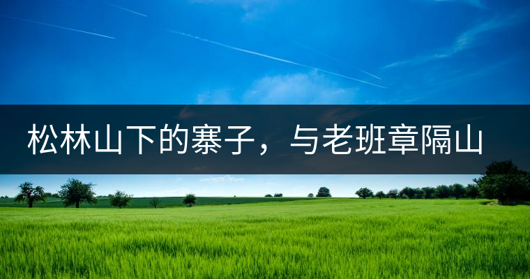 松林山下的寨子，與老班章隔山相望的廣別老寨