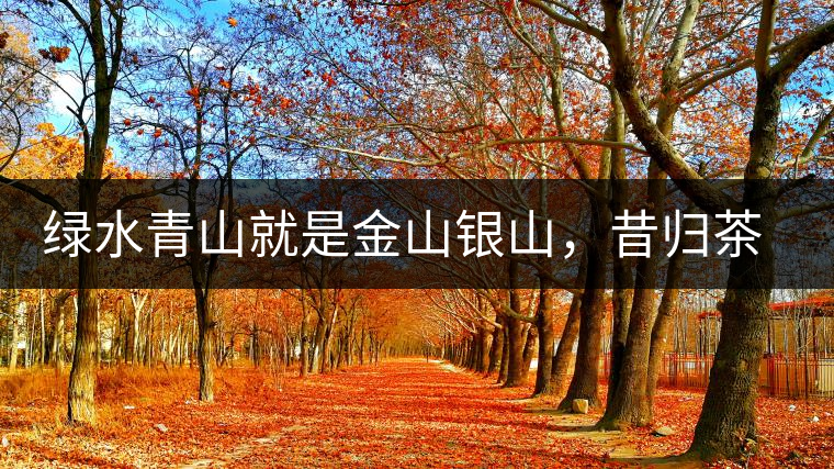 綠水青山就是金山銀山，昔歸茶農(nóng)唱著“茶歌”奔小康