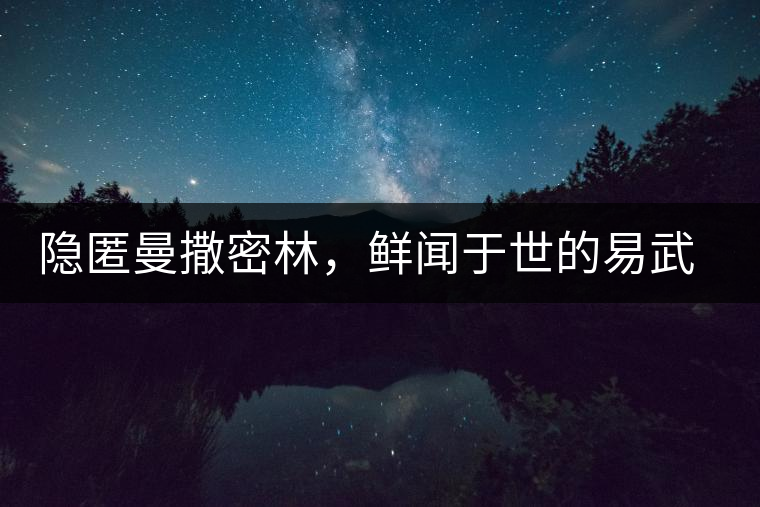 隱匿曼撒密林，鮮聞于世的易武一扇磨古樹茶