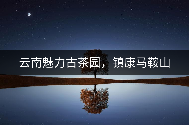 云南魅力古茶園，鎮(zhèn)康馬鞍山