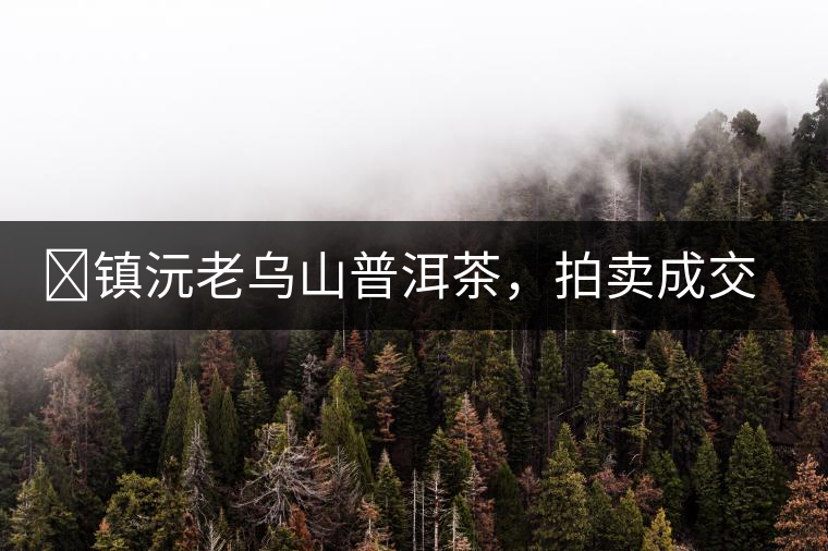 ?鎮(zhèn)沅老烏山普洱茶，拍賣成交價(jià)再創(chuàng)新高