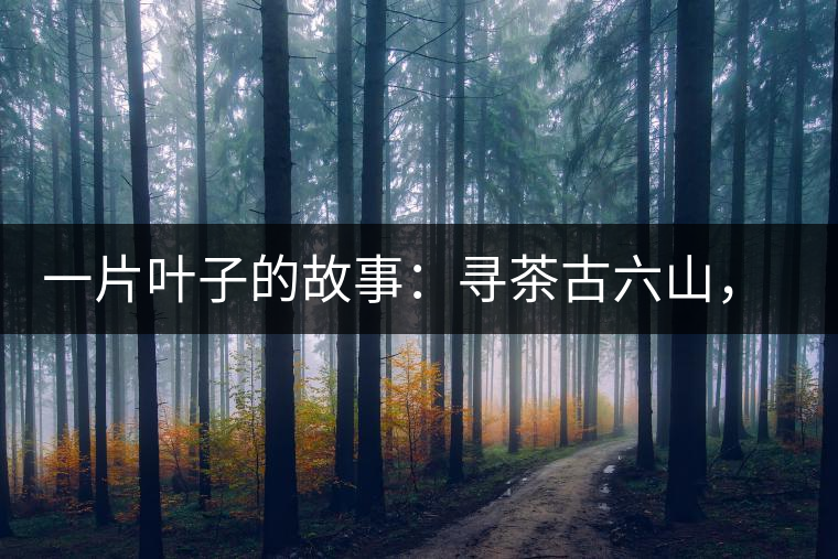 一片葉子的故事：尋茶古六山，倚邦最神秘