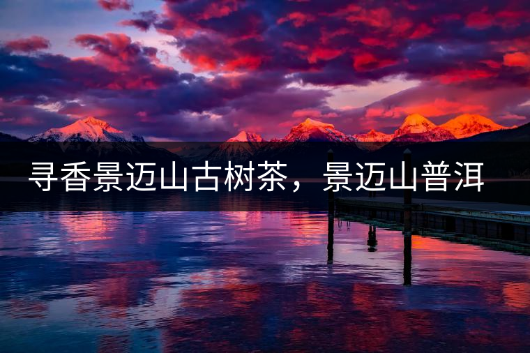 尋香景邁山古樹茶，景邁山普洱茶特點介紹