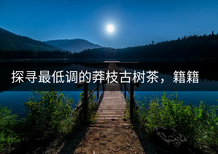 探尋最低調(diào)的莽枝古樹茶，籍籍無名出好茶