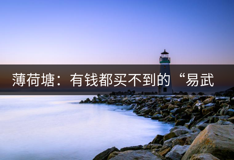 薄荷塘：有錢都買不到的“易武貴胄”，卓爾不群，無茶可及