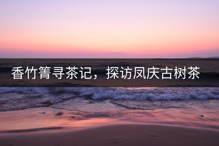 香竹箐尋茶記，探訪鳳慶古樹(shù)茶山