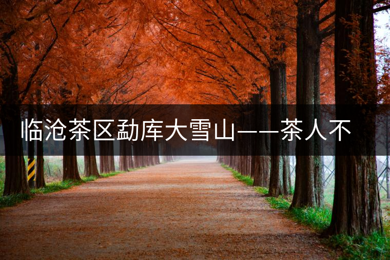 臨滄茶區(qū)勐庫(kù)大雪山——茶人不可不去的地方