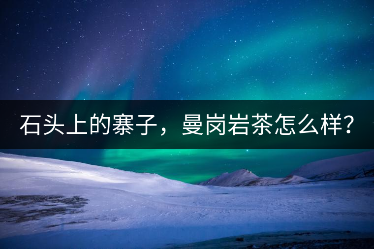 石頭上的寨子，曼崗巖茶怎么樣？