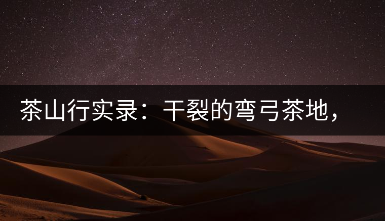 茶山行實(shí)錄：干裂的彎弓茶地，干旱減產(chǎn)已成定局