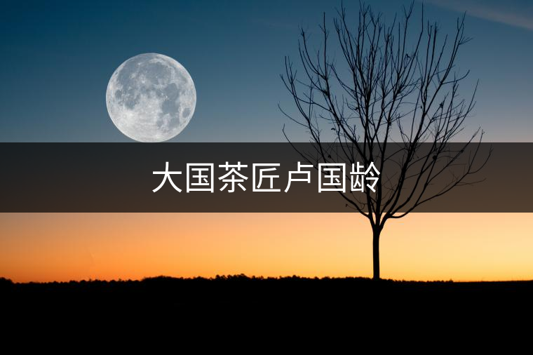 大國(guó)茶匠盧國(guó)齡
