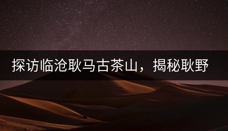 探訪臨滄耿馬古茶山，揭秘耿野生古茶樹群落