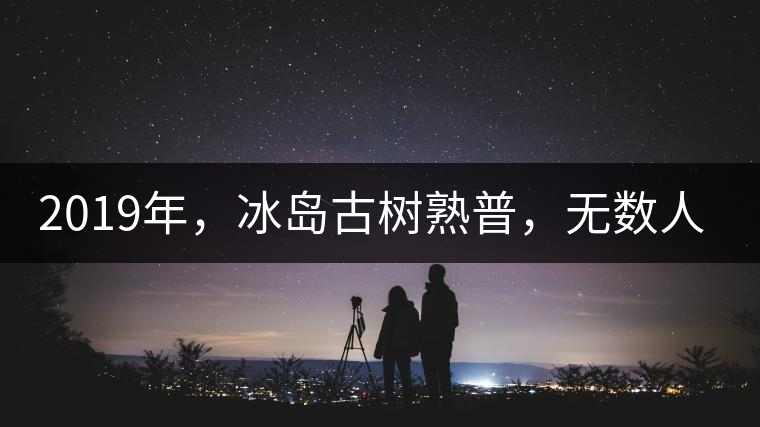 2019年，冰島古樹熟普，無數(shù)人在尋找