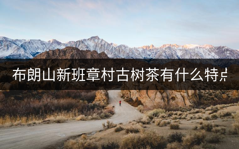 布朗山新班章村古樹茶有什么特點(diǎn)？