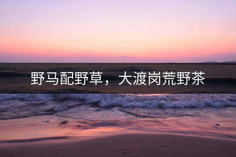 野馬配野草，大渡崗荒野茶