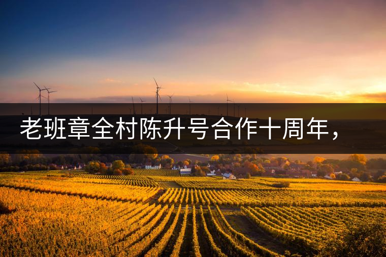 老班章全村陳升號(hào)合作十周年，贈(zèng)送千兩百家茶