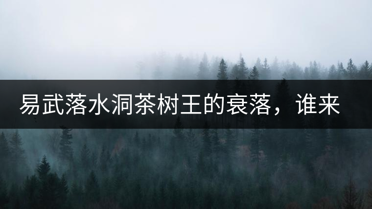 易武落水洞茶樹王的衰落，誰來關(guān)注古樹茶？