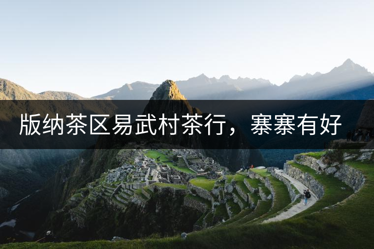 版納茶區(qū)易武村茶行，寨寨有好茶處處古茶香