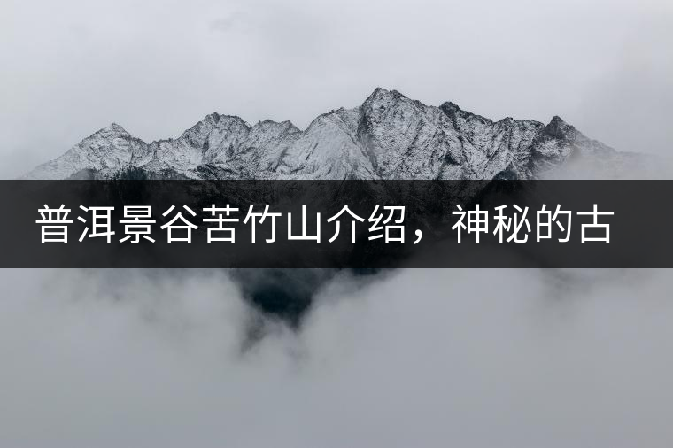 普洱景谷苦竹山介紹，神秘的古樹普洱茶原產(chǎn)地