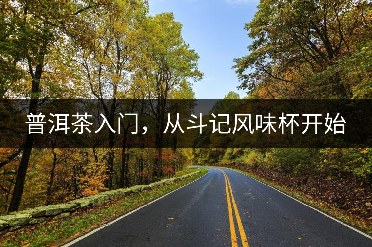 普洱茶入門，從斗記風味杯開始