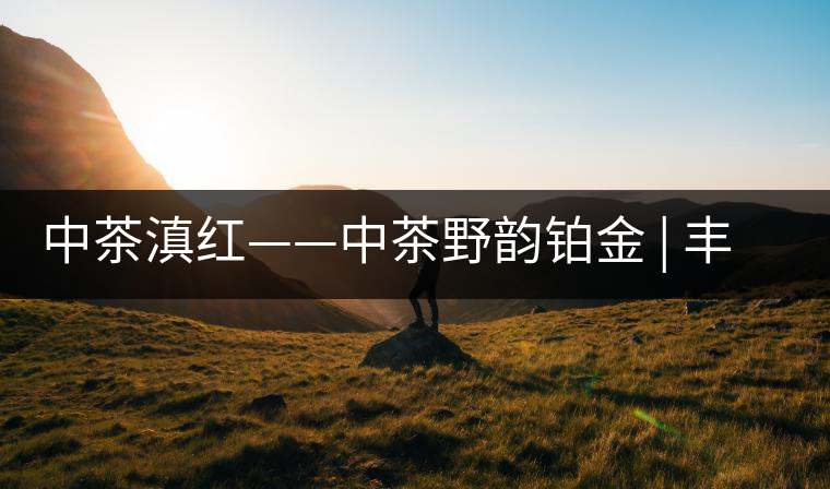 中茶滇紅——中茶野韻鉑金 | 豐苗挺秀，山野花香