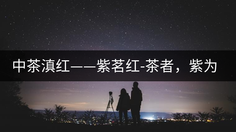 中茶滇紅——紫茗紅-茶者，紫為上
