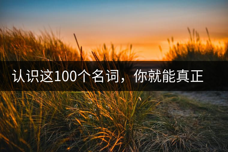 認(rèn)識這100個名詞，你就能真正了解普洱茶？