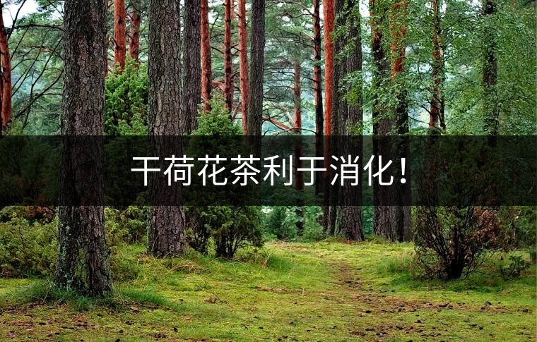 干荷花茶利于消化！